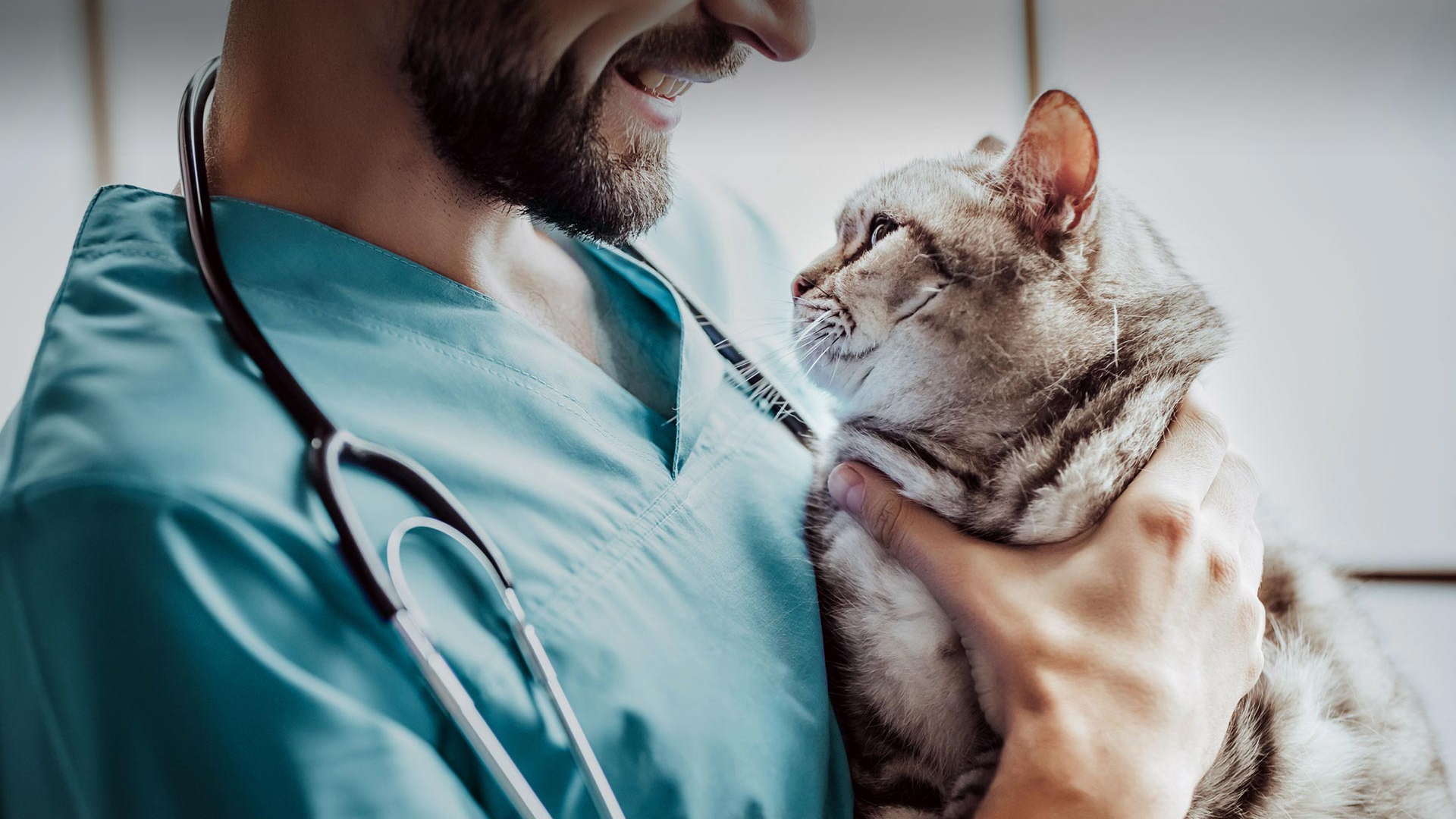 Beşiktaş Veteriner